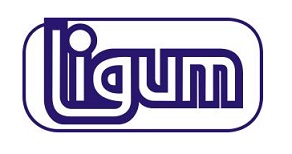 ЛИГУМ