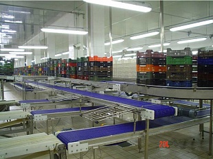 Конвейерные системы (х1)